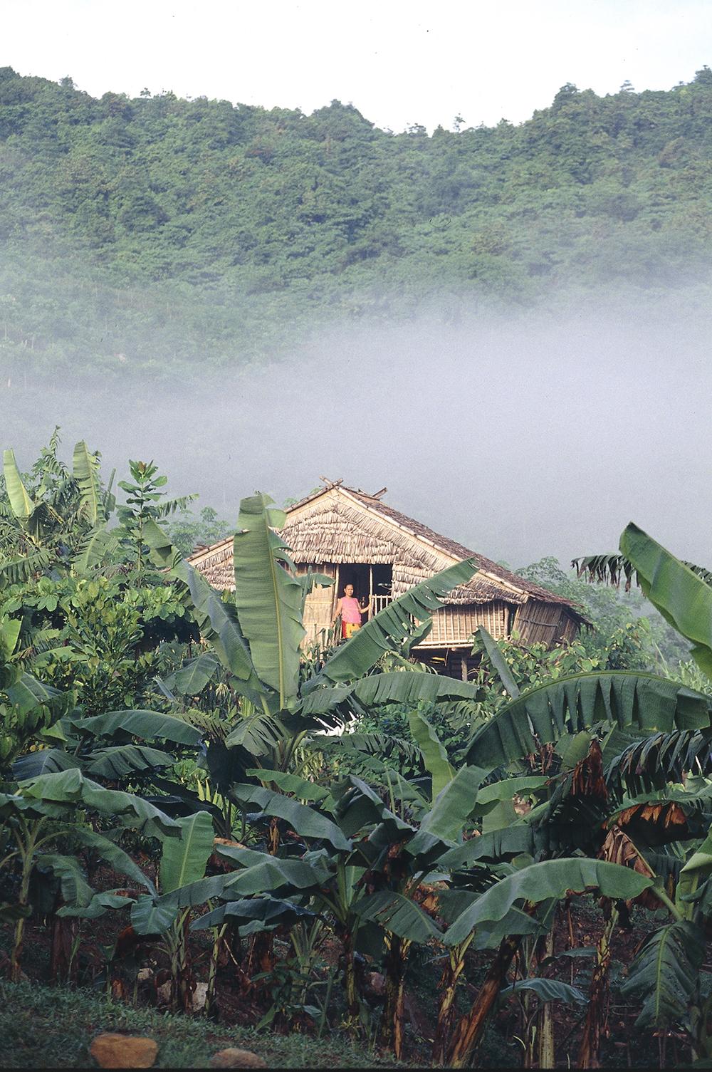 Borneo