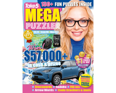 Take 5 Mega Puzzler Issue 99