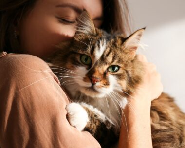 woman snuggling cute cat