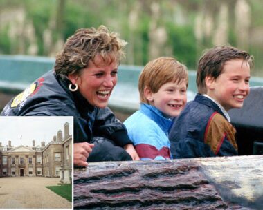 althorp house with smiling princess diana and her two young princes