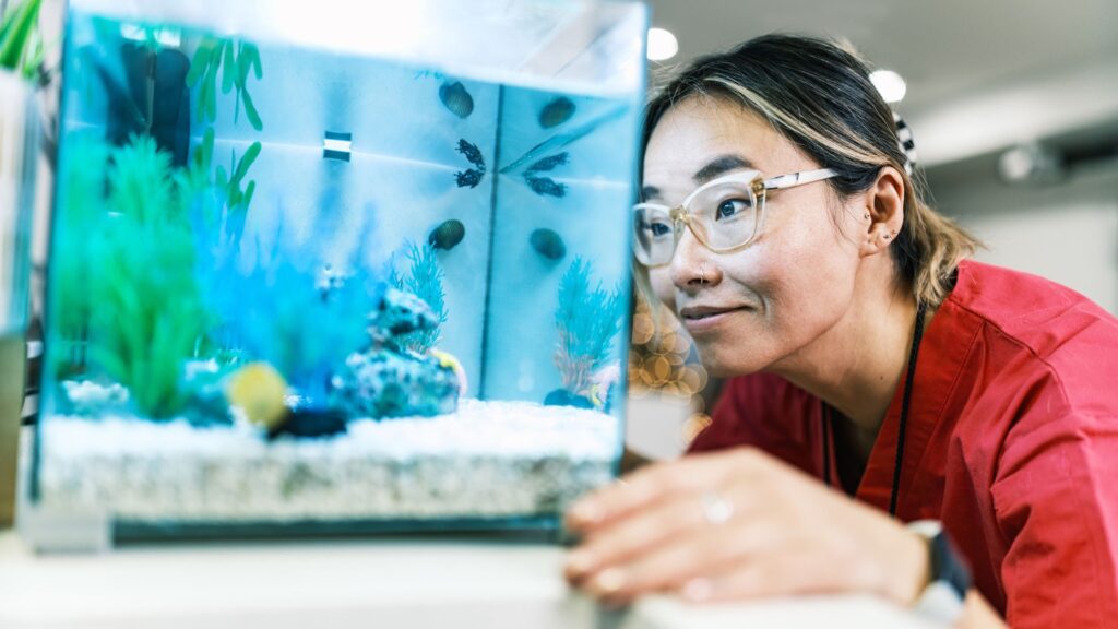 Woman gazes into fish tank at home