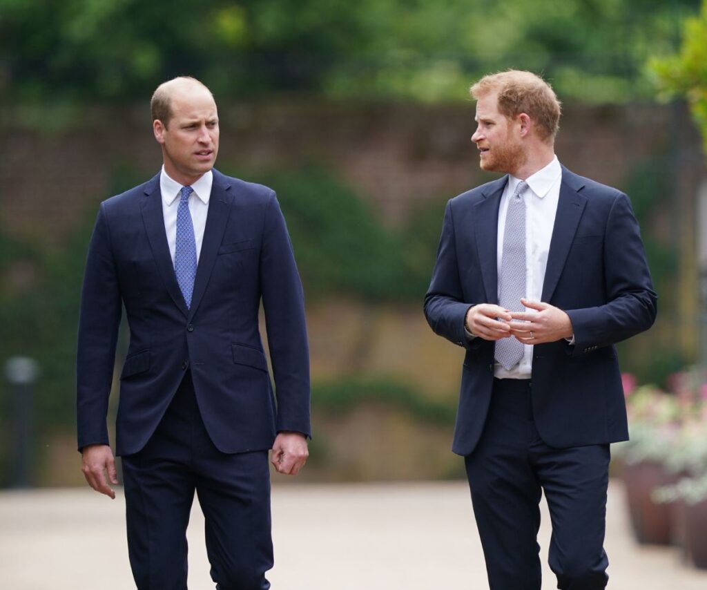 Prince William and Prince Harry look like they're mid-argument in suits.