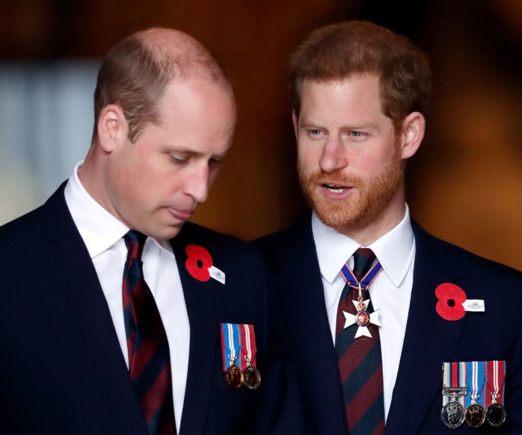 Prince William bites his tongue, talking to Prince Harry, both in decorated suits