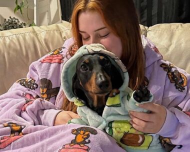 Rug up your furry friends in their very own wearable blankets this winter