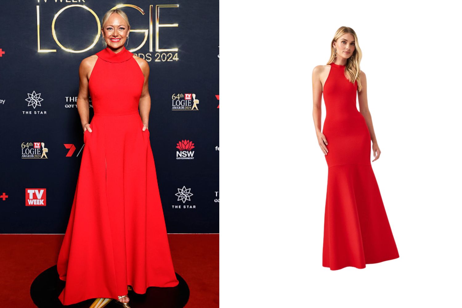 Image of Shelley Craft and her get the look dress at Logies 2024