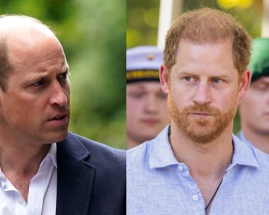 Prince William and Prince Harry looking serious.