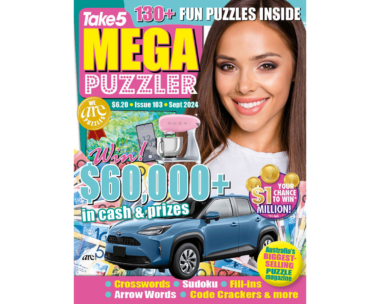 Take 5 Mega Puzzler Issue 103