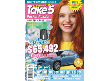 Take 5 Pocket Puzzler Issue 241