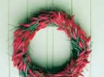 Chilli wreath