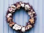 Seashell wreath