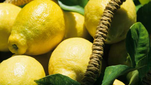 How to grow lemons