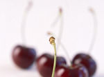 cherries