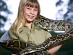 Bindi with a Burmese python