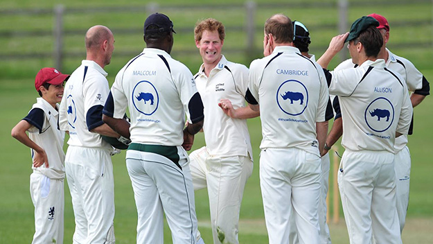 Prince Harry playing cricket