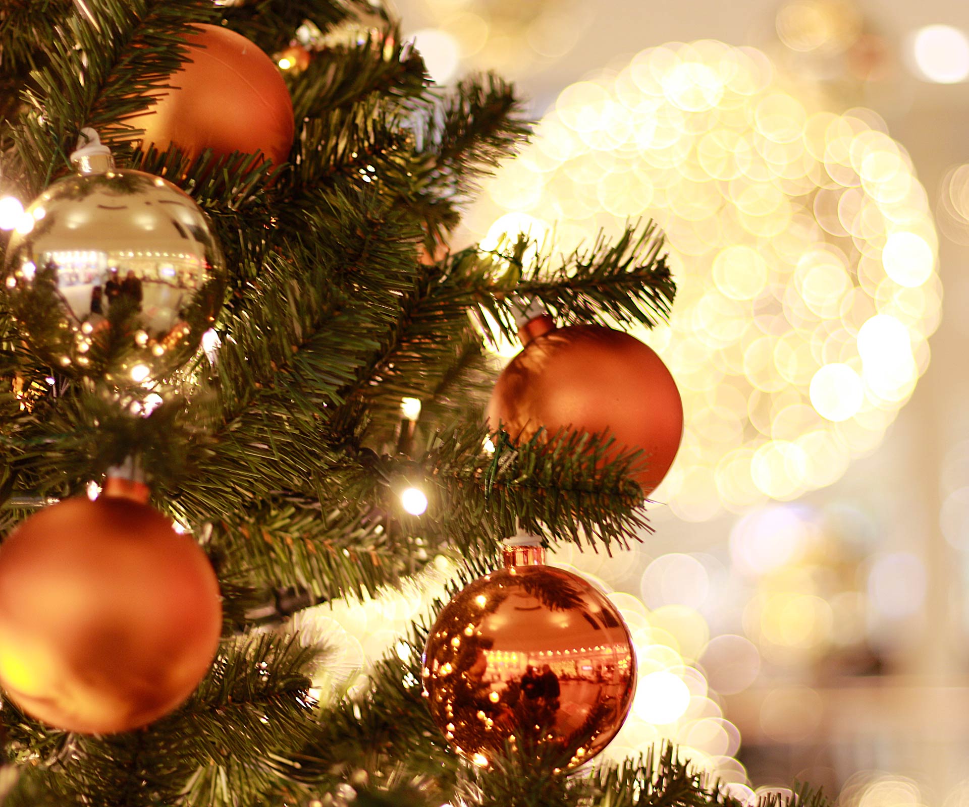 Victorian woman finds tiger snake wrapped around her Christmas tree