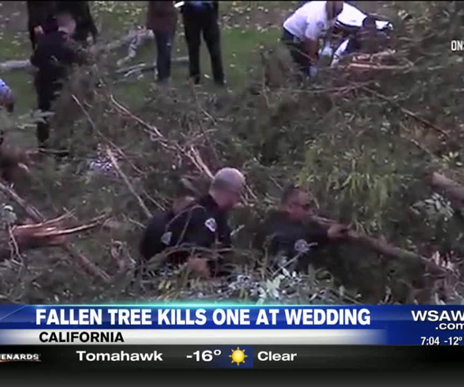 Woman who died from falling tree identified as mother of the bride