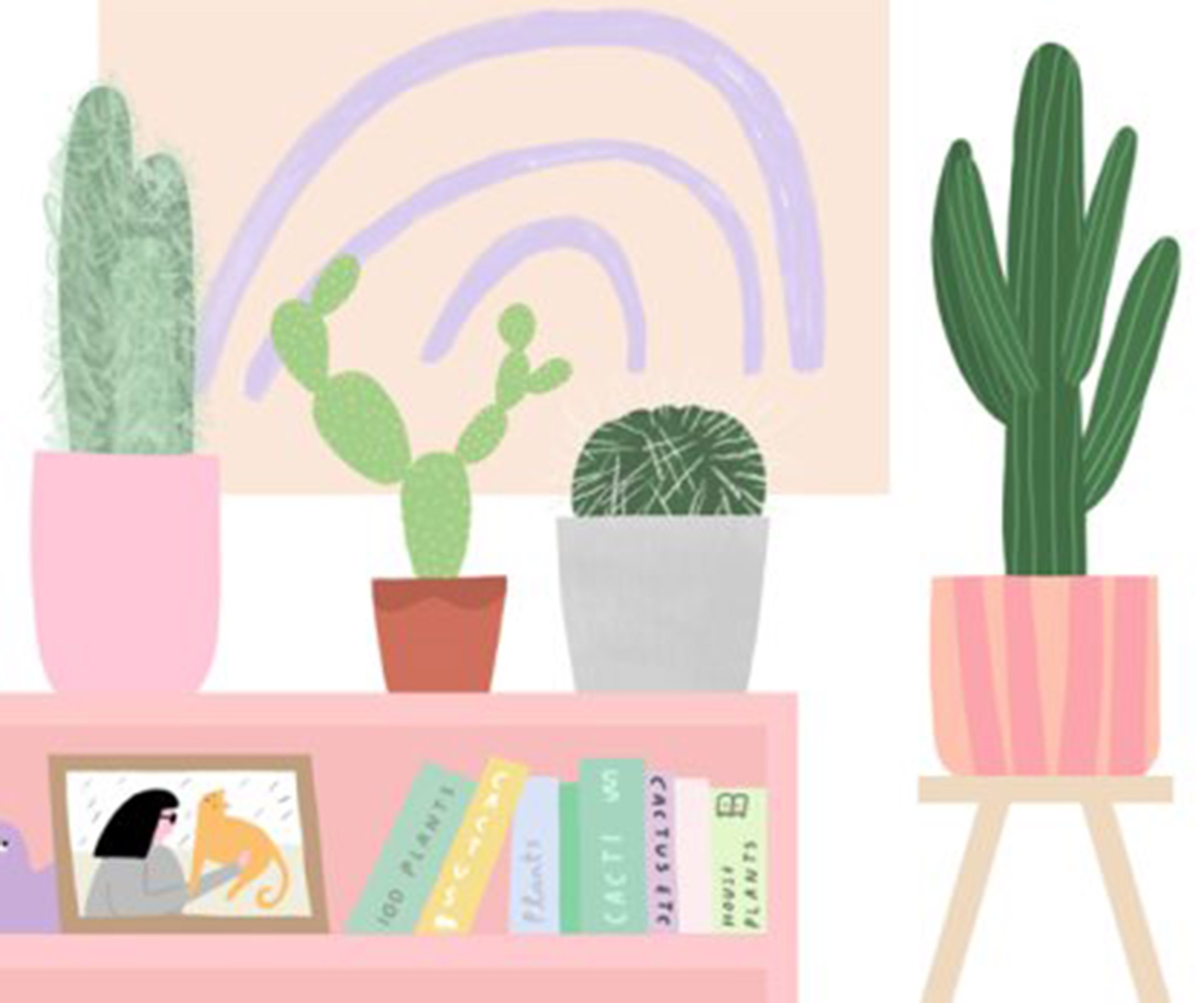 Everything you need to know about your cactus
