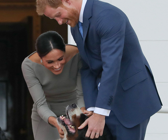 Duchess Meghan and Prince Harry have named their pet dog and it’s royally pawfect