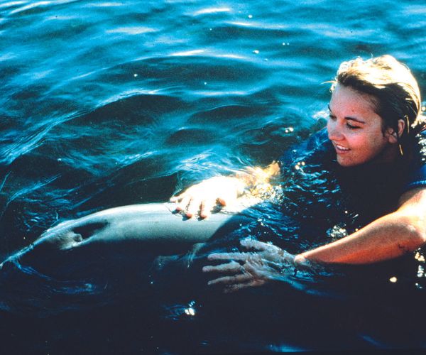 REAL LIFE: Meet the special Australian dolphin helped this woman heal