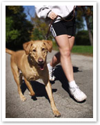 Exercise and your dog