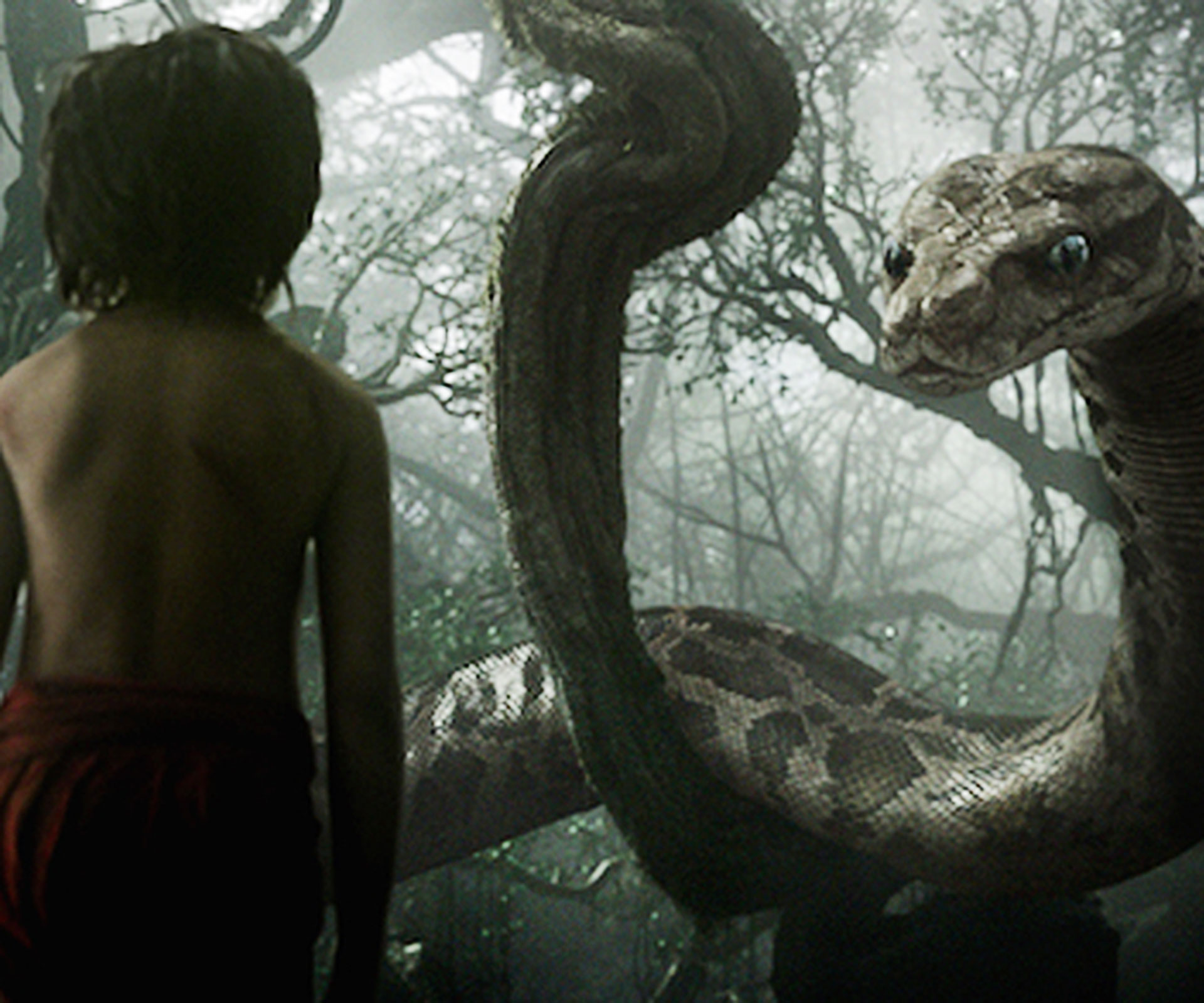 The Jungle Book